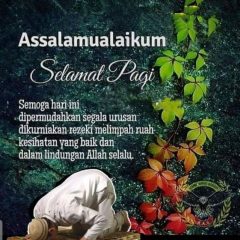 Certificat du vaccin.